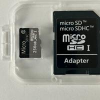 Micro SD 256GB