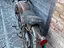 Immagine 2