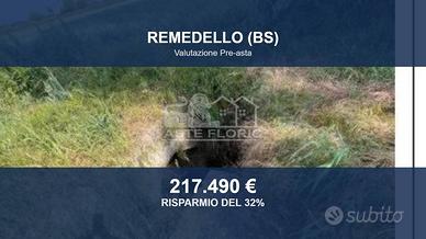 Immobile in asta di 45460 m² a Remedello