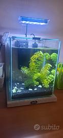 Acquario 10 Litri Zolux