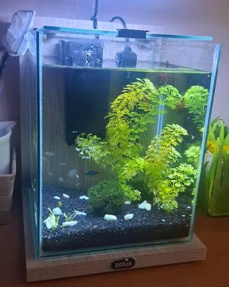 Acquario 10 Litri Zolux