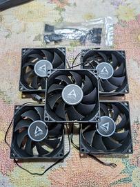 Set 5 pz ventole ARCTIC F8 PWM 15 ultra silenziose