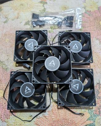 Set 5 pz ventole ARCTIC F8 PWM 15 ultra silenziose