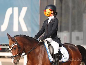 Pony da Dressage - HAPPY DAY V.D. BURGTHOEVE - Gar