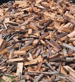 legna secca 