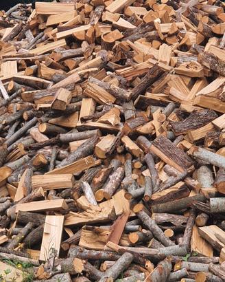 legna secca 