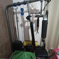 Domyus Hg compact