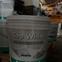 Secchio Pittura Murale Bianca 14L