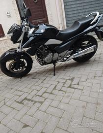 Suzuki Inazuma 250-Come nuova- Solo 1600km
15000km