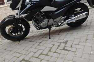 Suzuki Inazuma 250-Come nuova- Solo 1600km
15000km