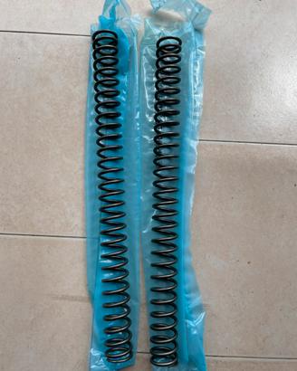 Molle forcella BMW GS800