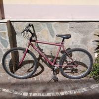 mountain bike uomo