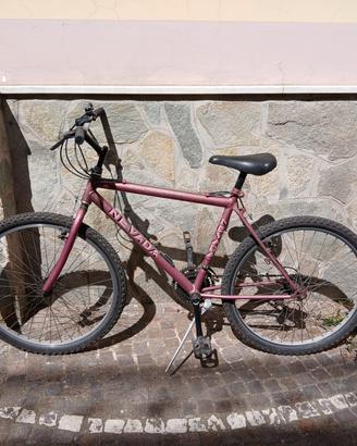 mountain bike uomo