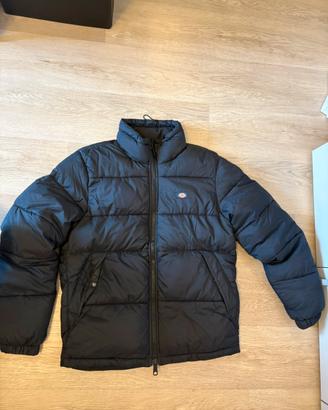 Giubbotto Dickies