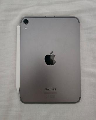 ipad mini a 17pro wifi+cellular 128gb
