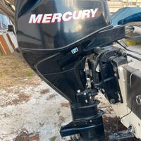 Mercury 25cv