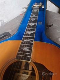 chitarra acustica nordamericana 
