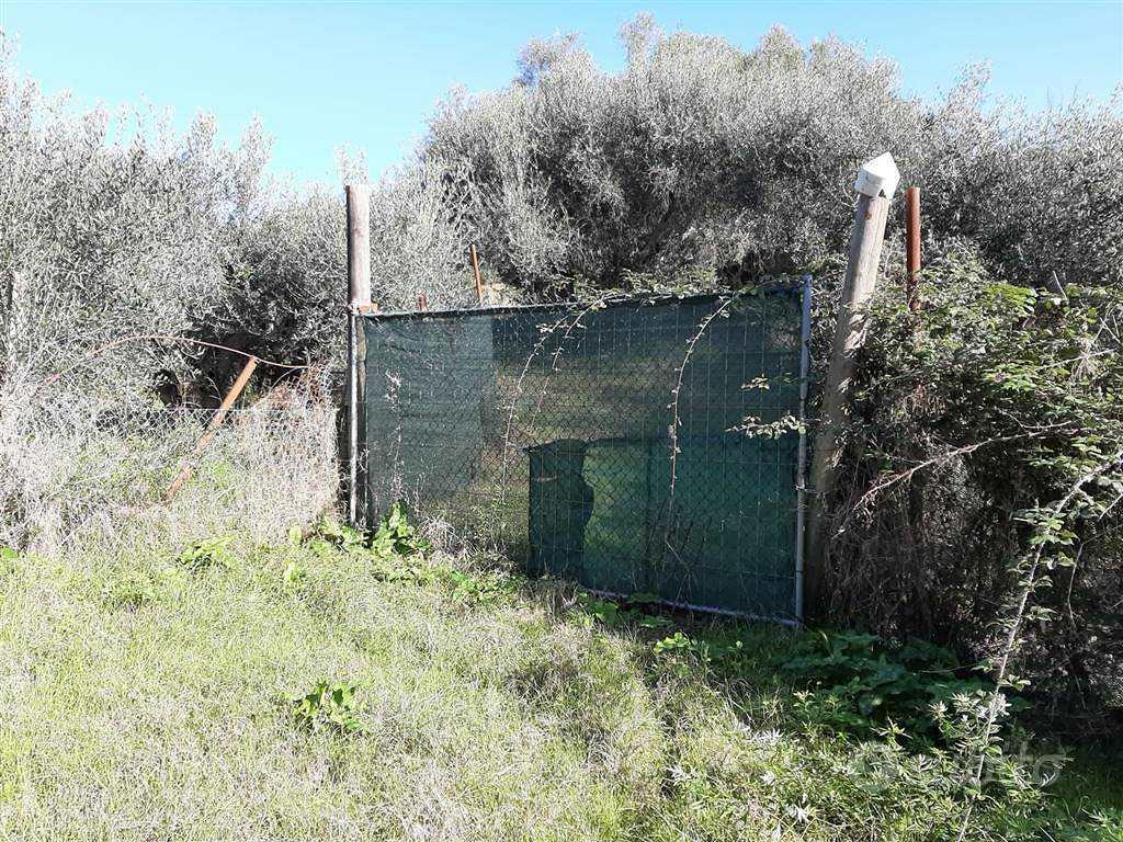 Rif.AA-T32| terreno agricolo follonica - Altro
