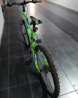 Atala xr Scorpion