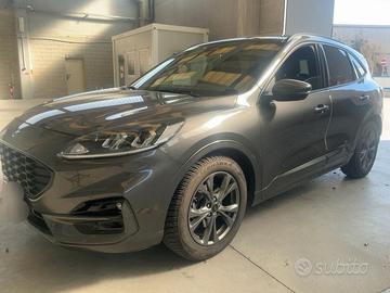 Ford Kuga 1.5 EcoBlue 120 CV 2WD ST-Line in arrivo