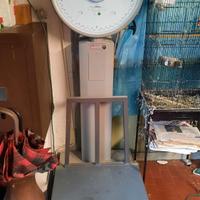 bilancia per artigiani