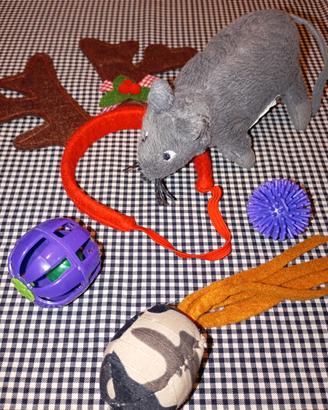 GIOCHI PER GATTO