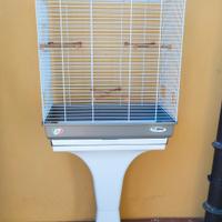 Gabbia per uccelli con Accessori