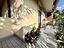 Immagine 21