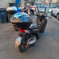 sh 300 sport nero opaco 