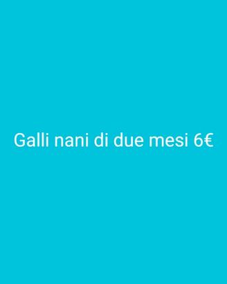 Galli