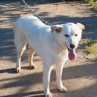 Roger è ancora in attesa di trovare casa