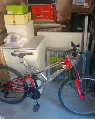bicicletta 