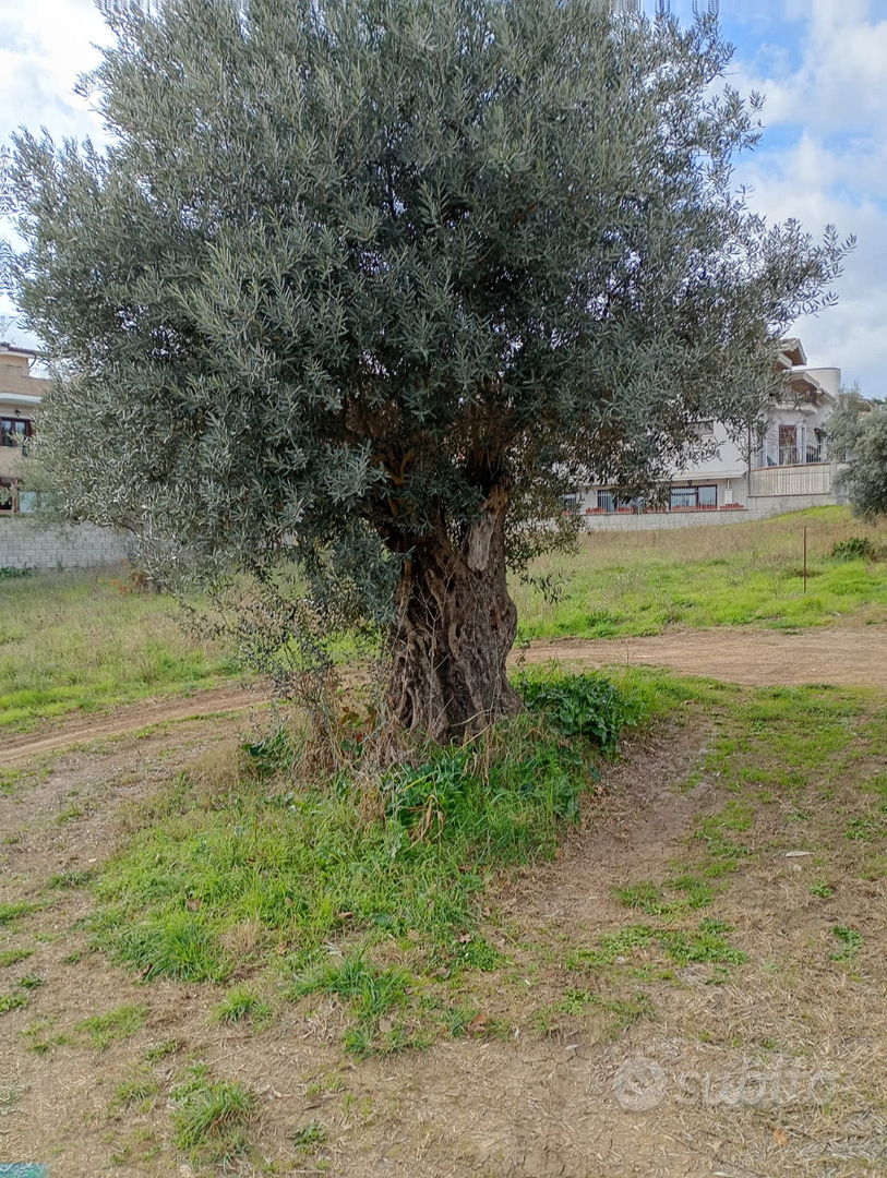 Terreno edificabile - Vista 4