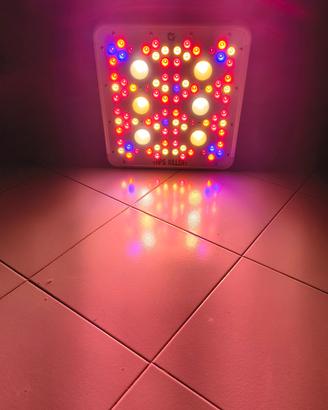Lampada LED HPS KILLER  Professionale