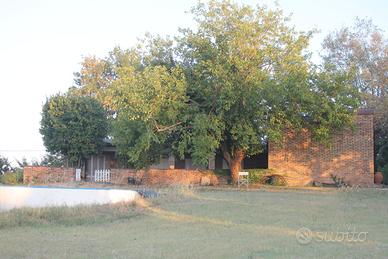 Villeta singola con giardino a Castel San Pietro T