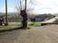 Immagine 22