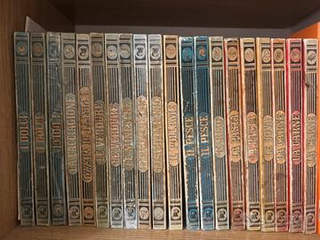 Raccolta libri cucina