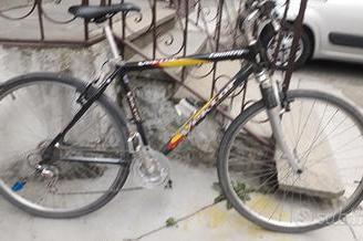 5 MTB