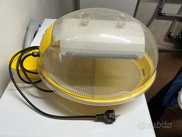 Incubatrice Fiem Smart per uova rettili e uccelli
