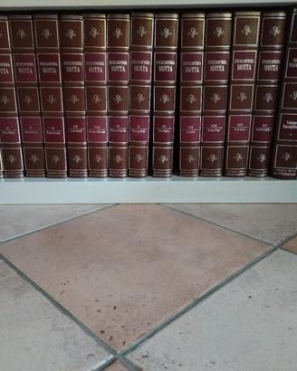 Enciclopedia Federico Motta 15 Volumi