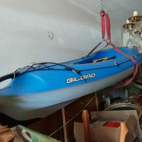 kayak