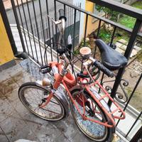 Bicicletta pieghevole