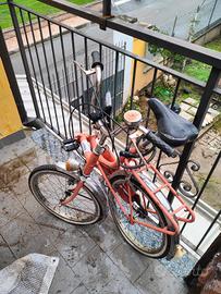 Bicicletta pieghevole