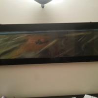 Libero Ferretti, museale