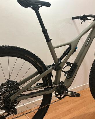 Specialized stumpjumper expert 2020 tg L