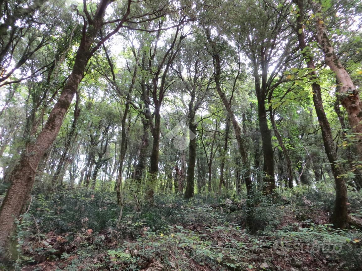 TER. AGRICOLO A LENTATE SUL SEVESO - Altro