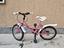 Immagine 1