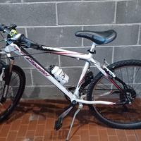 bicicletta