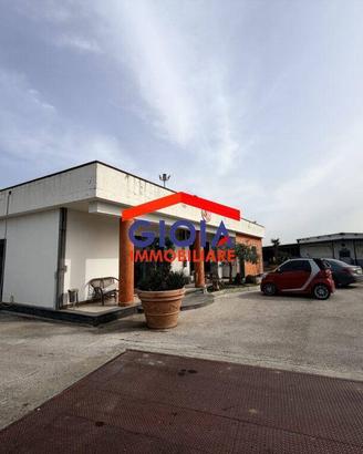 Immobile di 2700 m² a Cellole