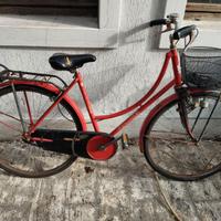 Bicicletta con cestino